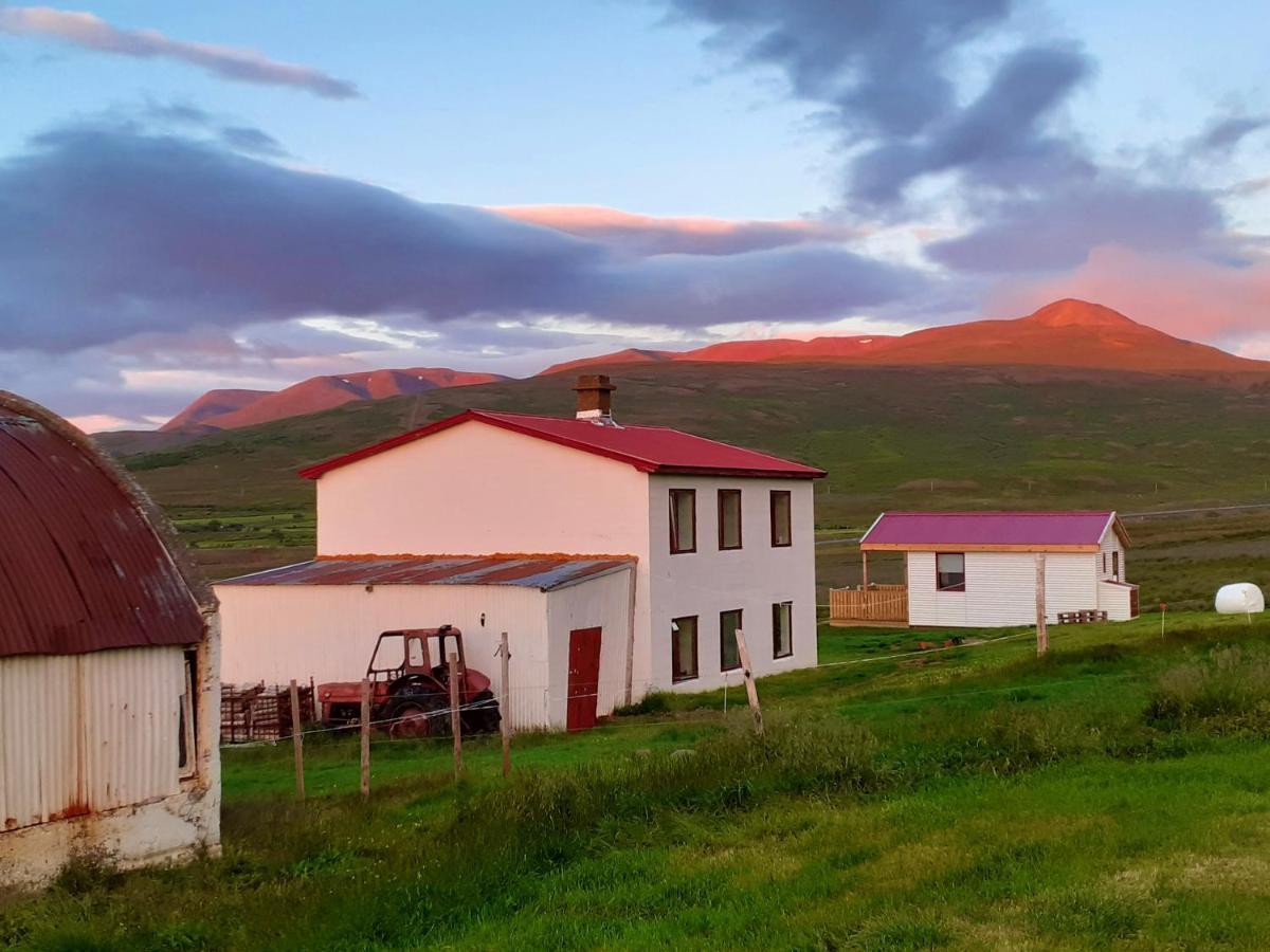 Skarth Guesthouse Saudarkrokur Exteriér fotografie