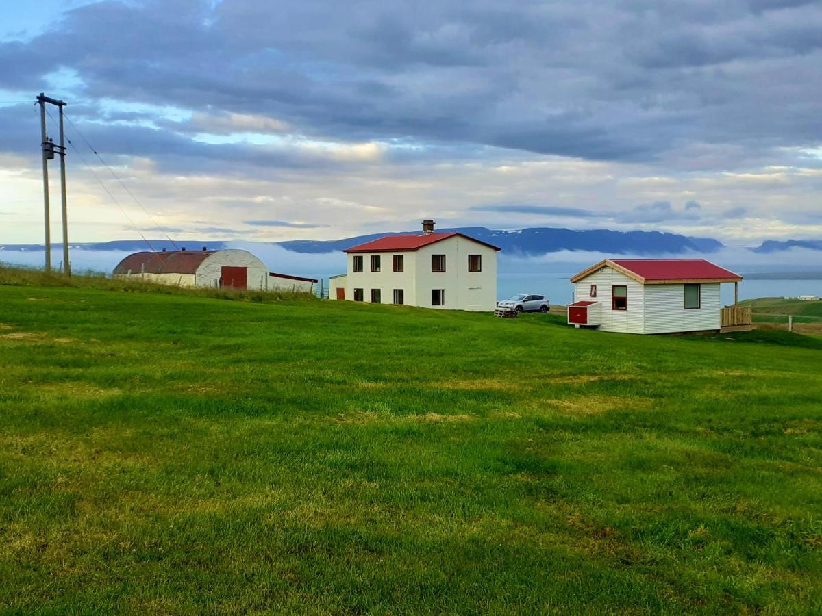 Skarth Guesthouse Saudarkrokur Exteriér fotografie