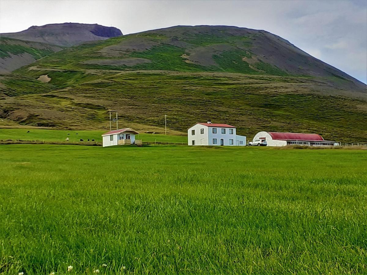 Skarth Guesthouse Saudarkrokur Exteriér fotografie