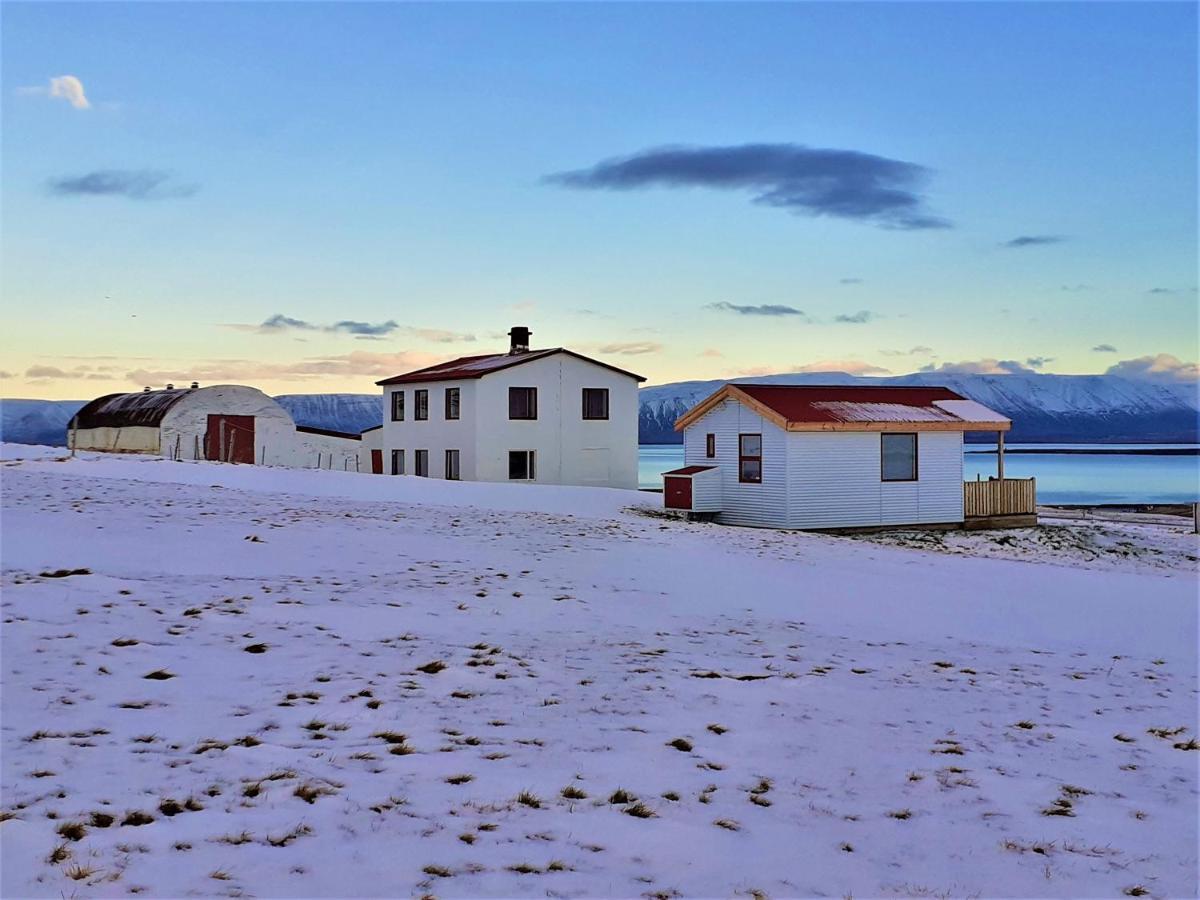 Skarth Guesthouse Saudarkrokur Exteriér fotografie