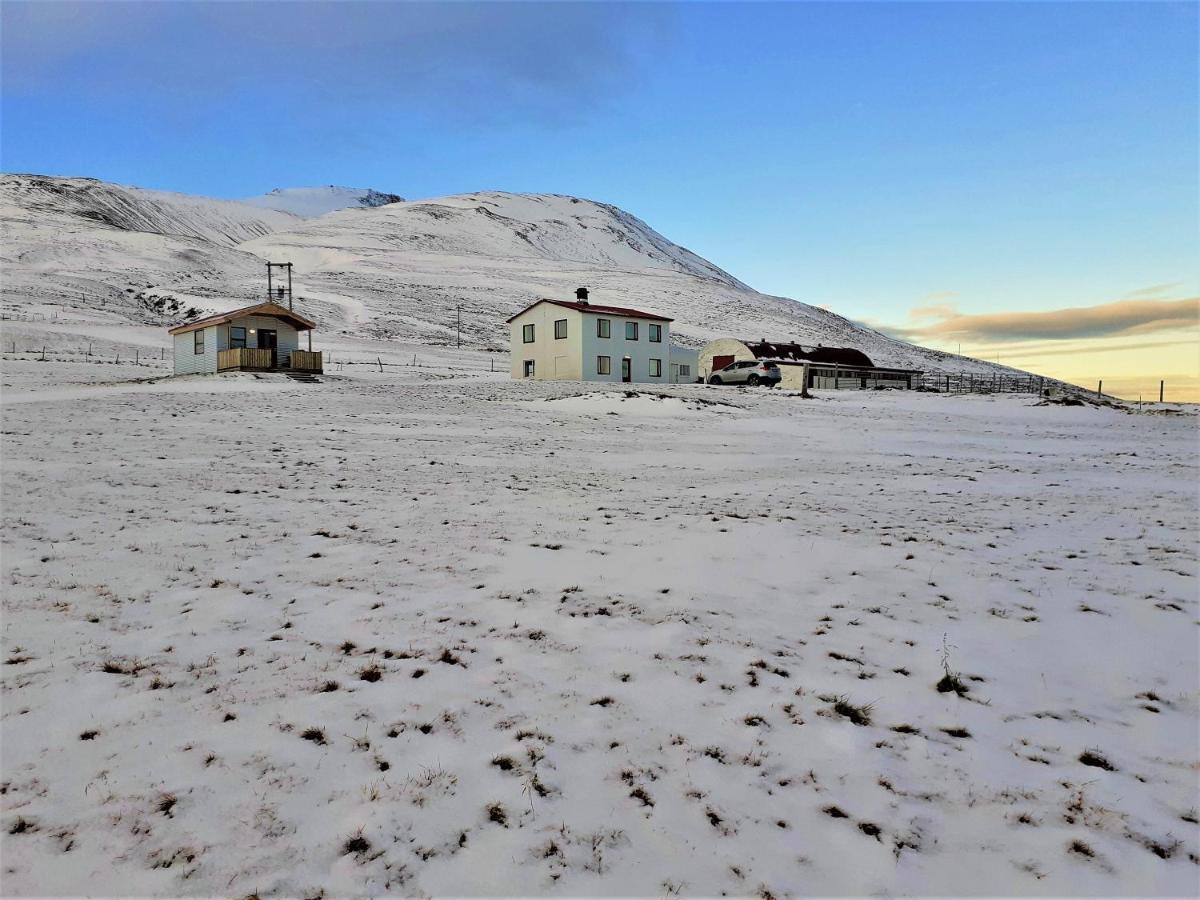 Skarth Guesthouse Saudarkrokur Exteriér fotografie